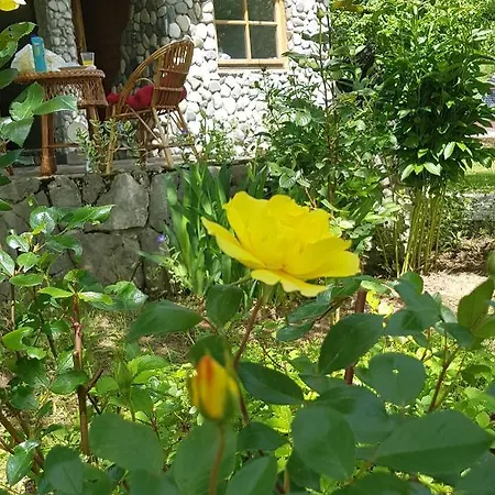 Country House Tatil Evi *
