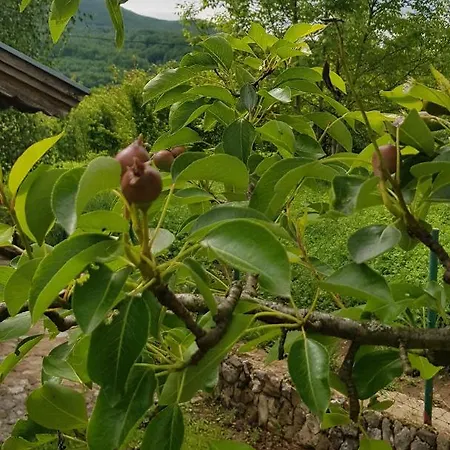 Country House * Bihać