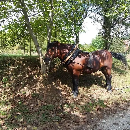 Сasa de vacaciones Country House