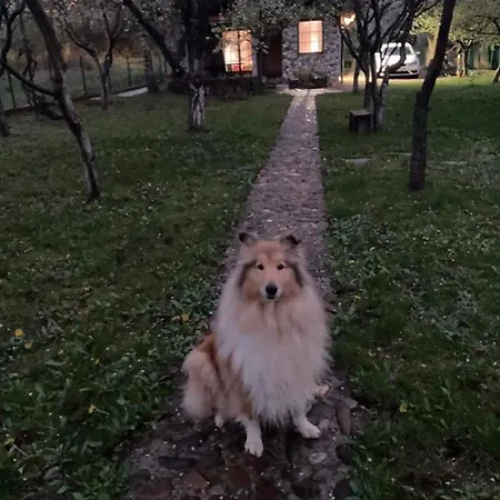 Dom wakacyjny Country House Bihać